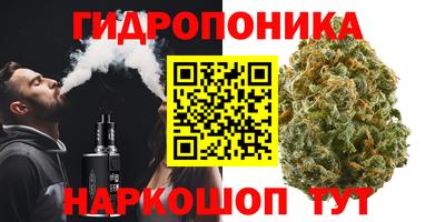 spice Пенза