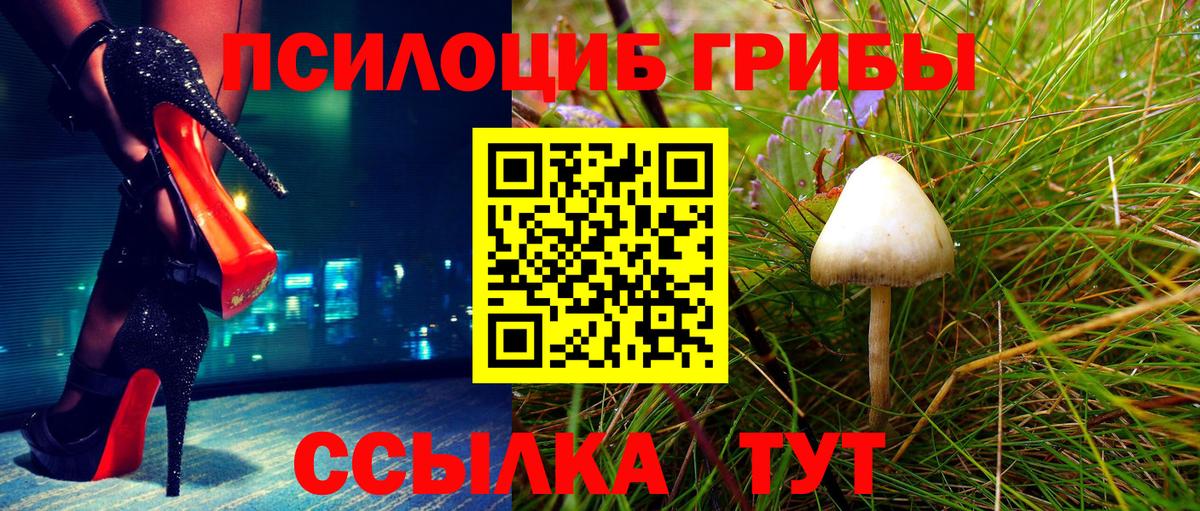 Таганрог  Псилоцибиновые грибы прущие грибы  купить наркотики сайты  Вход с VPN 
